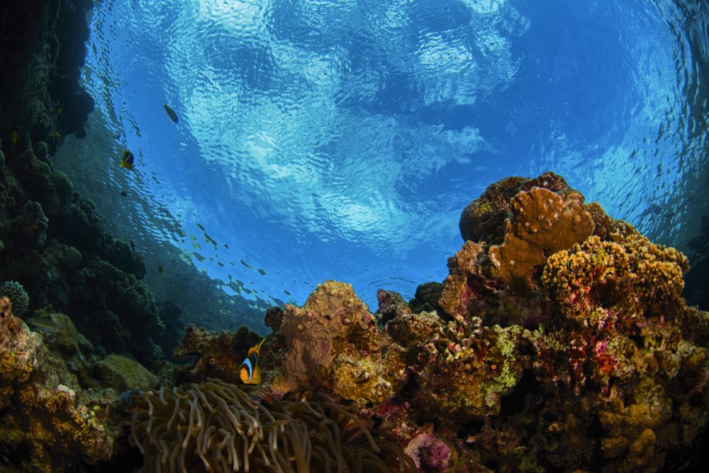 Фотография автора Евгения Кирпиченкова (Клипп)