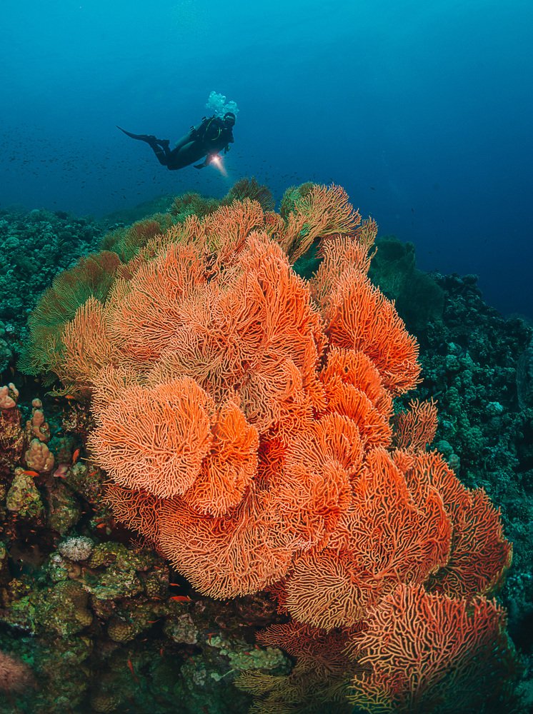 Фотография автора Евгения Кирпиченкова (Клипп)