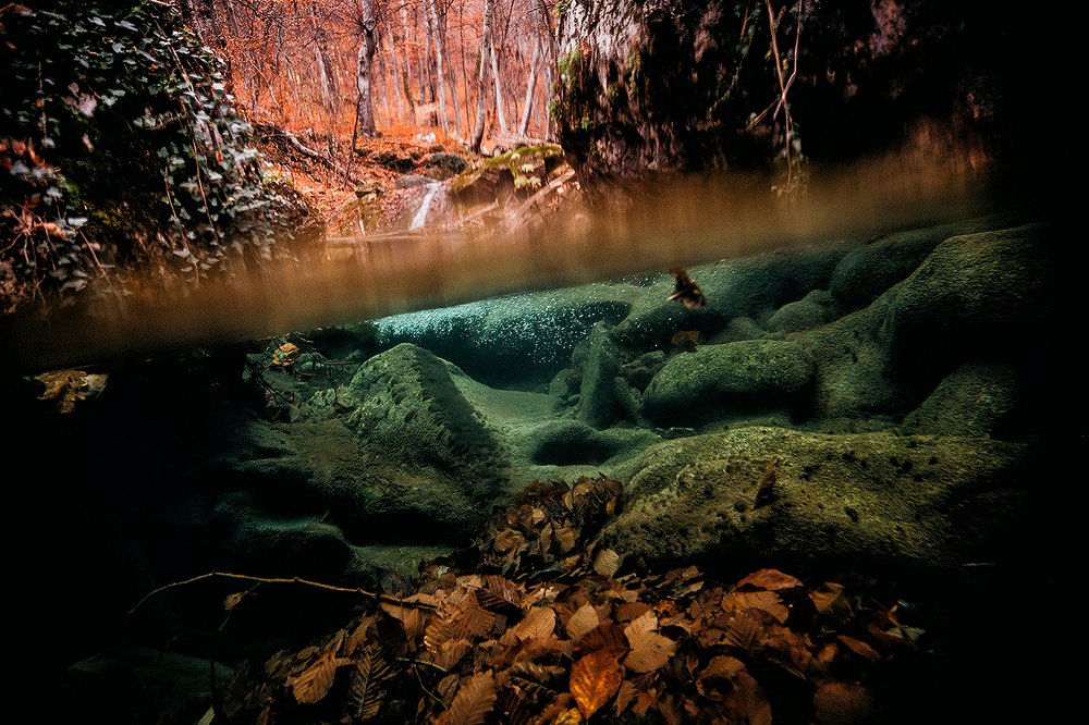 Фотография автора Евгения Кирпиченкова (Клипп)
