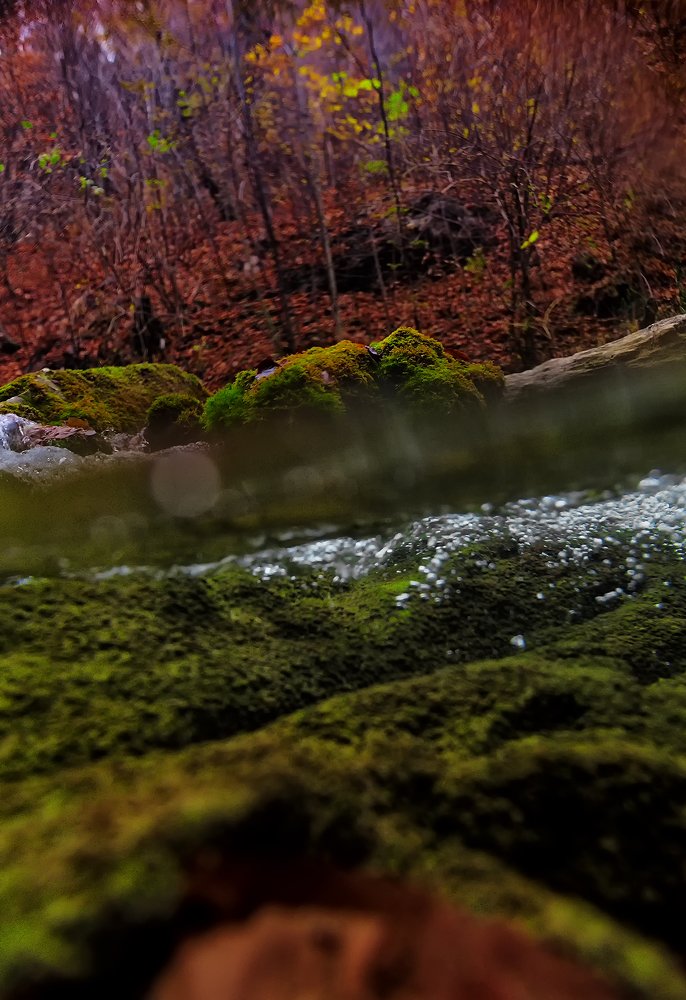 Фотография автора Евгения Кирпиченкова (Клипп)