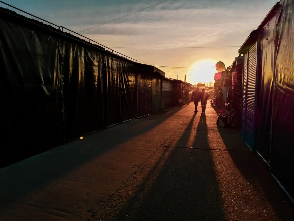 Photograph by Weinstein Isabela