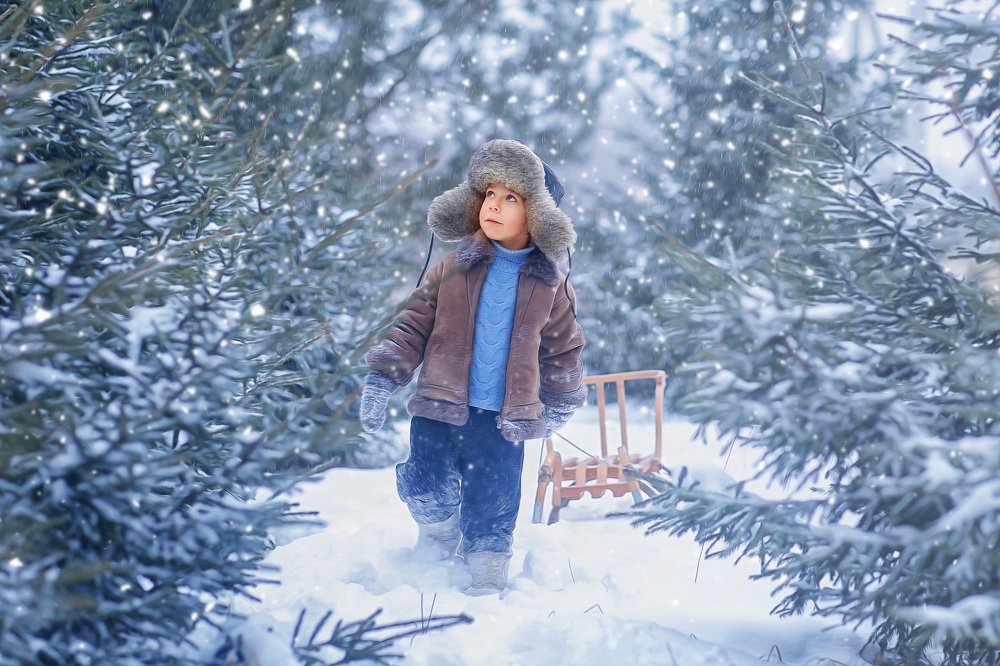 Photograph by Елена Шевчук