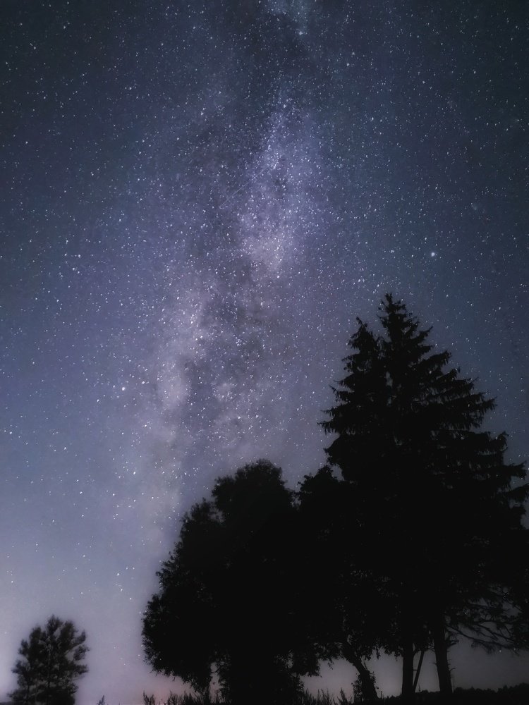 Photograph by Максим