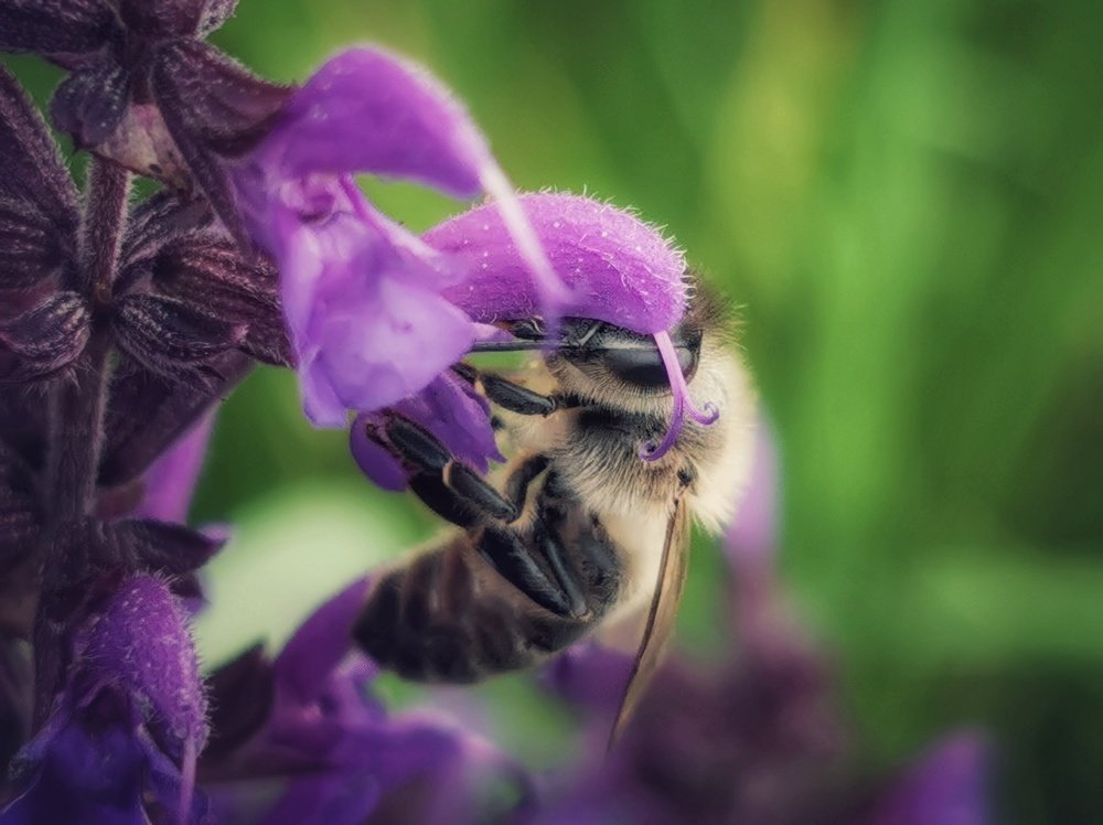 Photograph by Максим