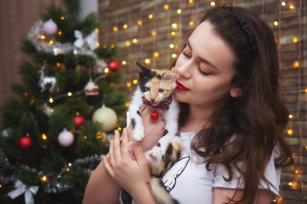 Photograph by Таня Чабаненко