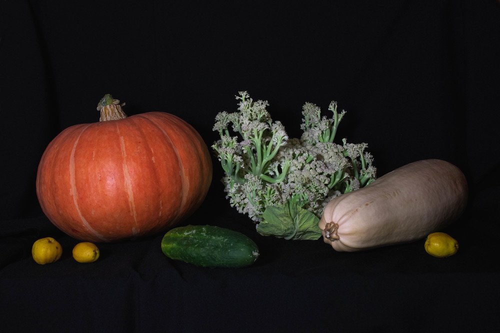 Photograph by Полина Голованова