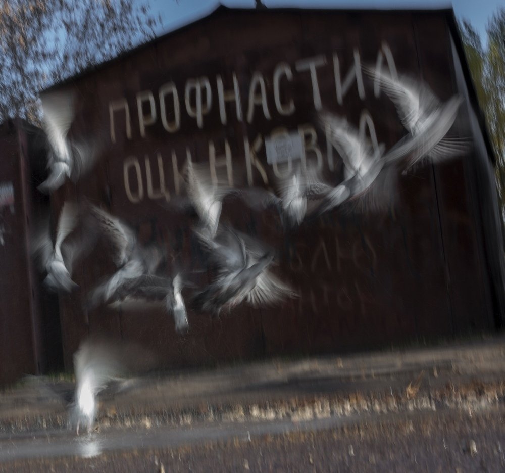 Фотография автора Владимир