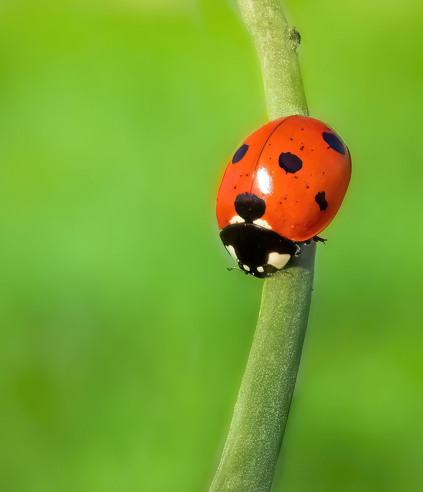 Photograph by Ghadimi Mahdiyar