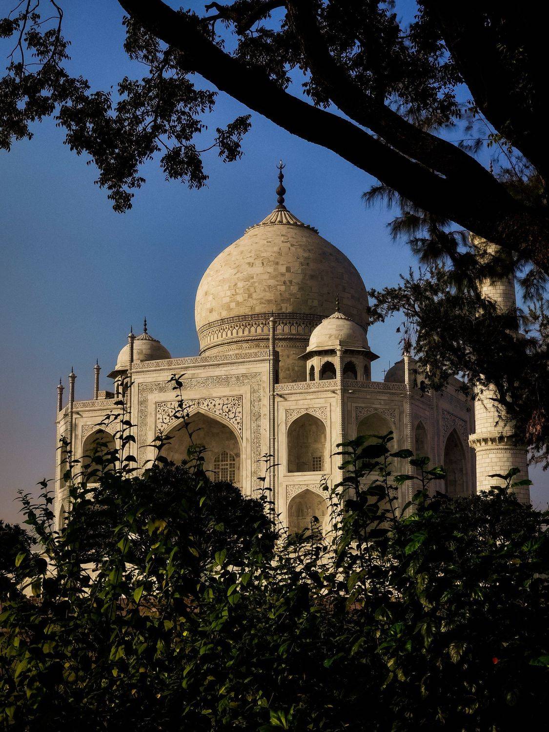 Mighty White Taj Mahal