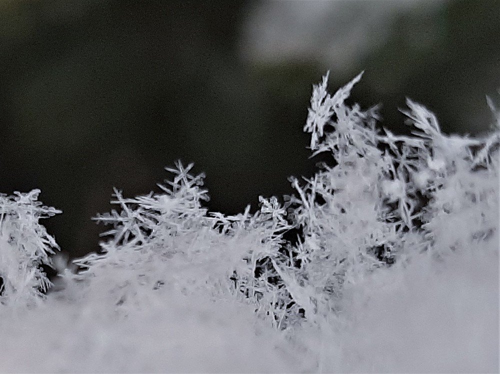 Photograph by Дмитрий Прокопяк