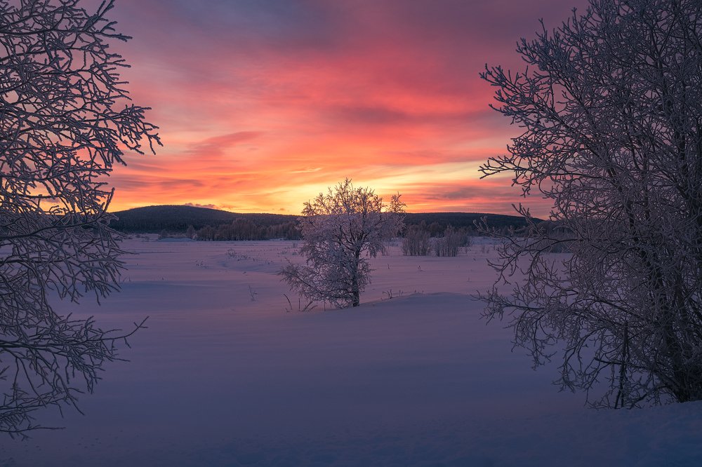 Photograph by Олег Семенкевич