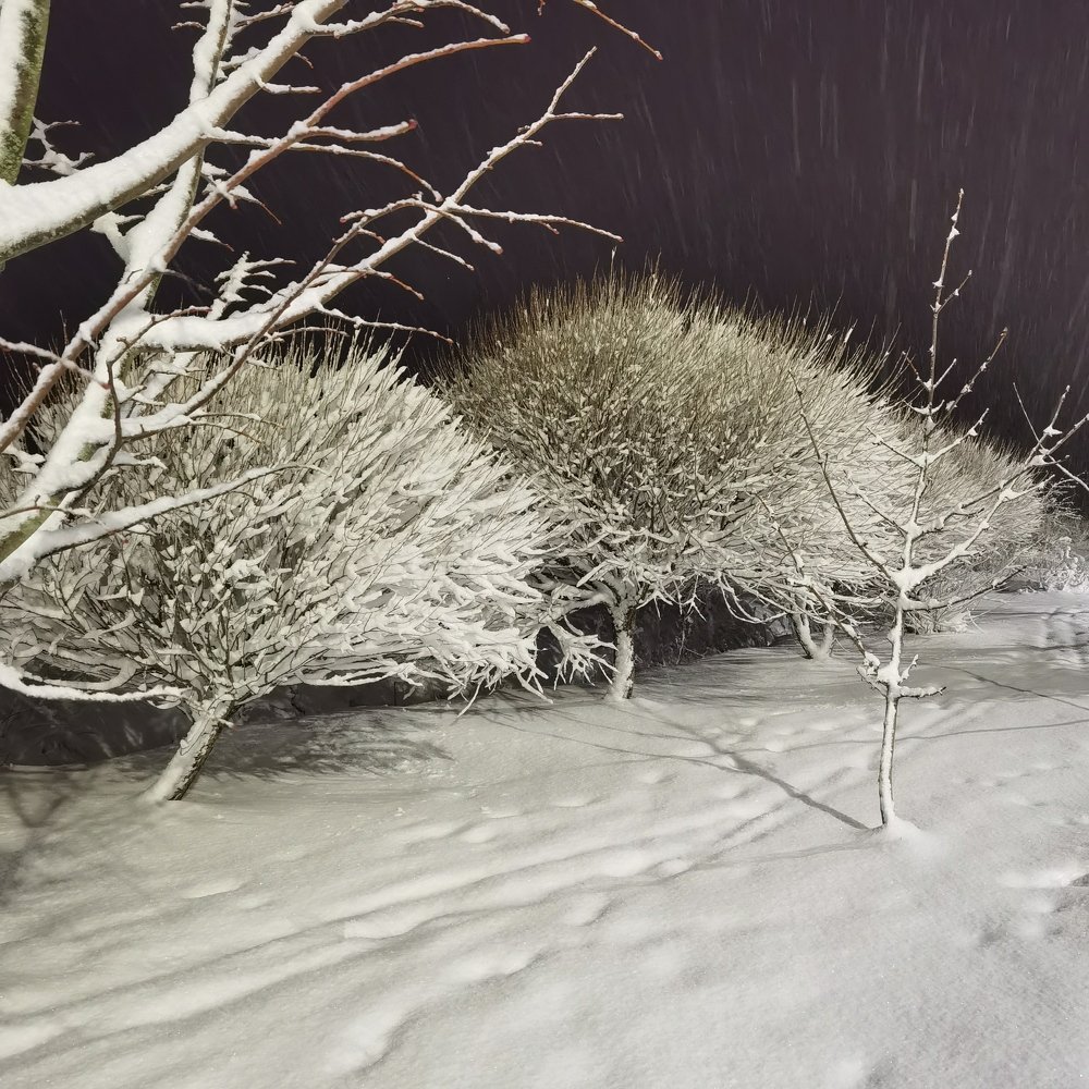 После снегопада