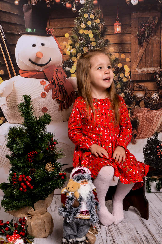 Beautiful girl and Christmas