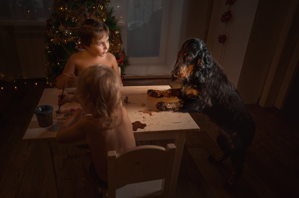 Photograph by Ольга Алейнер