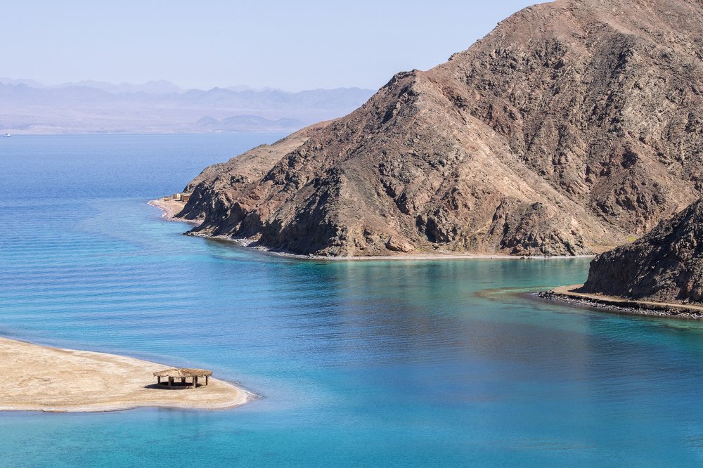 Фотография автора Sherine El Mously