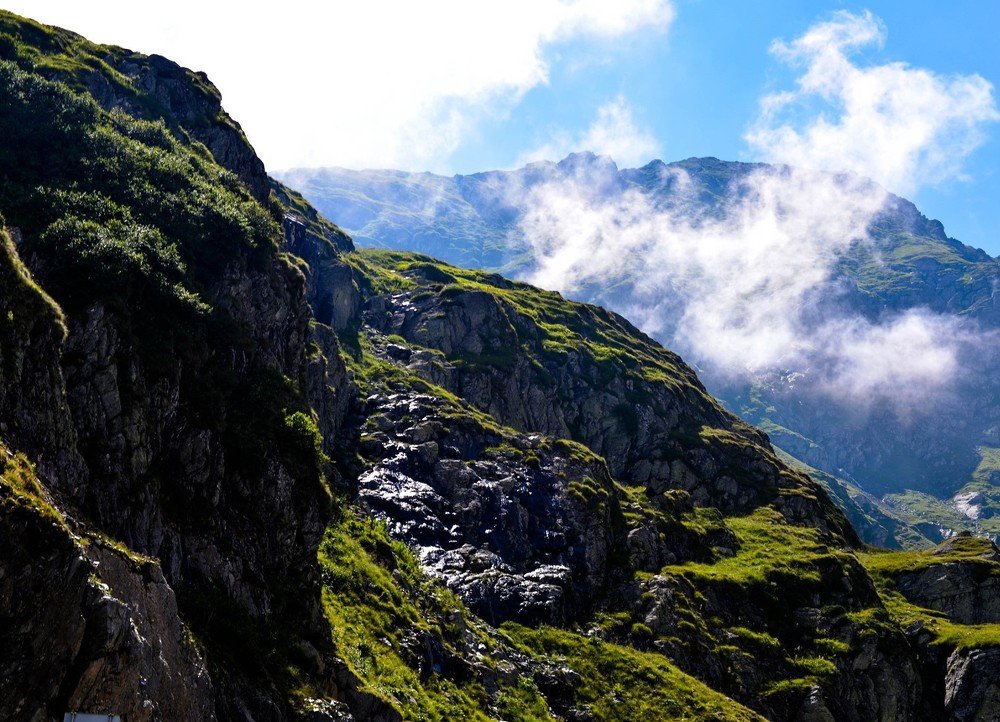 Фотография автора Ana Maria Monica Dragan