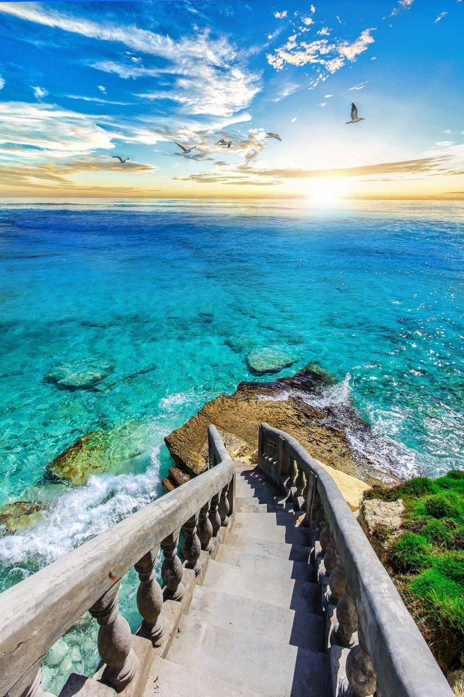 Photograph by Marko Radisavljevic