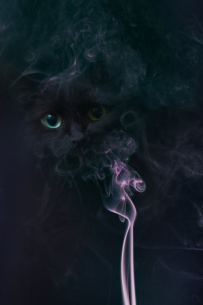 Photograph by Ирина Секачева