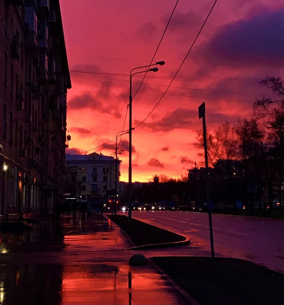 Photograph by Соня