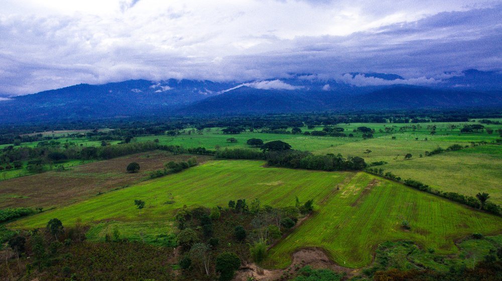 ностальгия