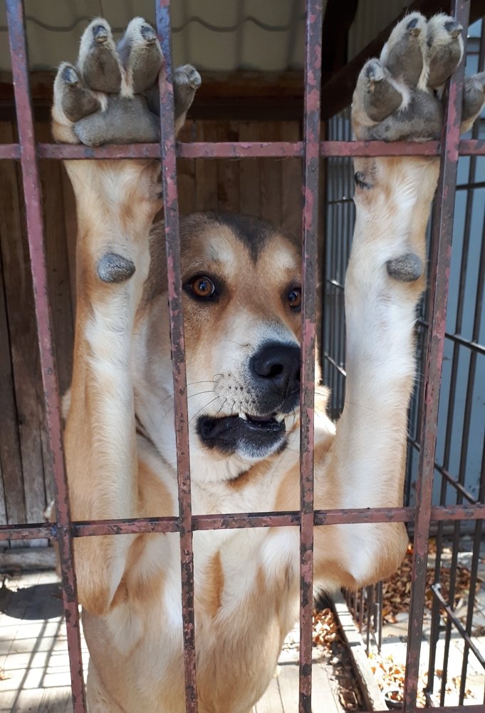 Photograph by Рафаил Манафов