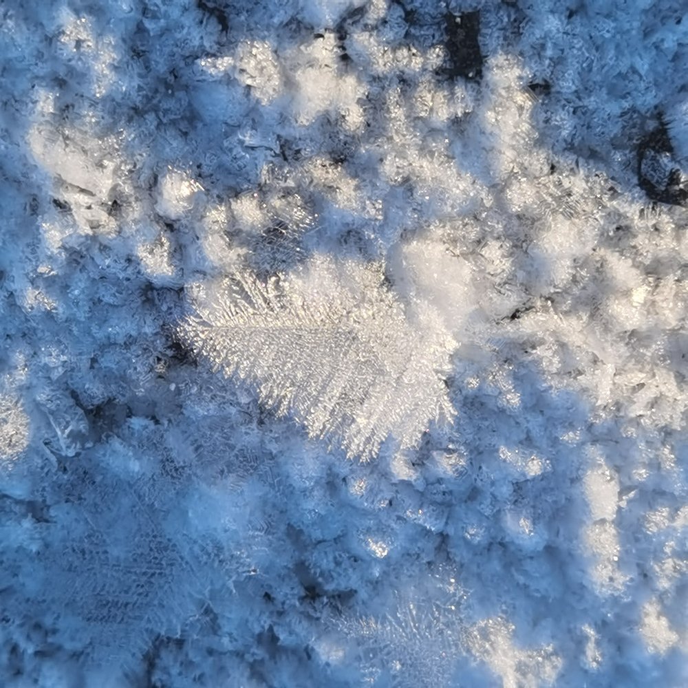 Мороз занимается творчеством на