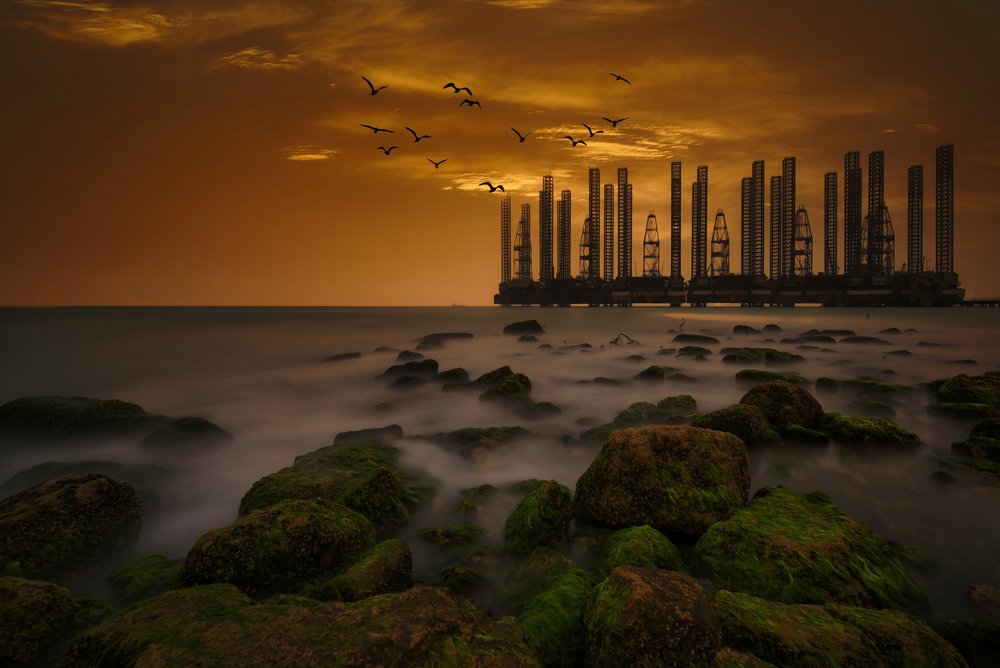 Темное будущее