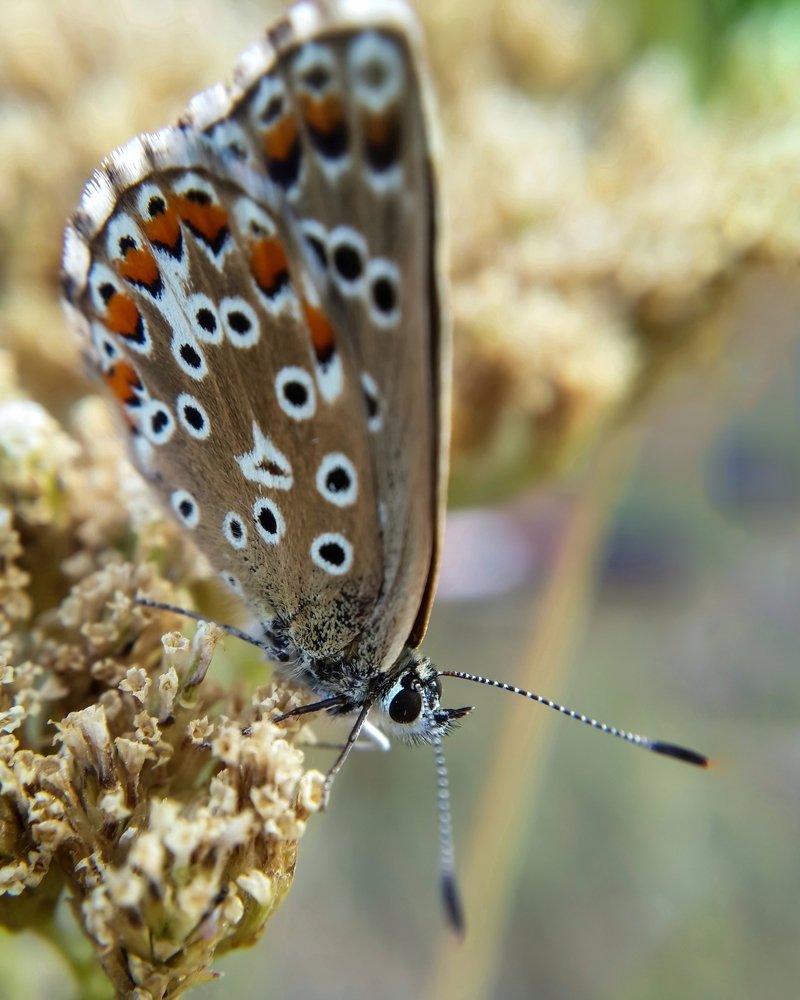 Фотография автора Дмитрий Деревянко