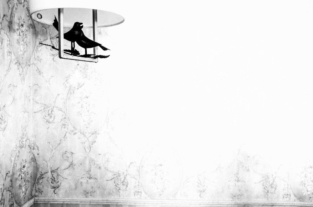 Photograph by Mahdieh Katouzian -