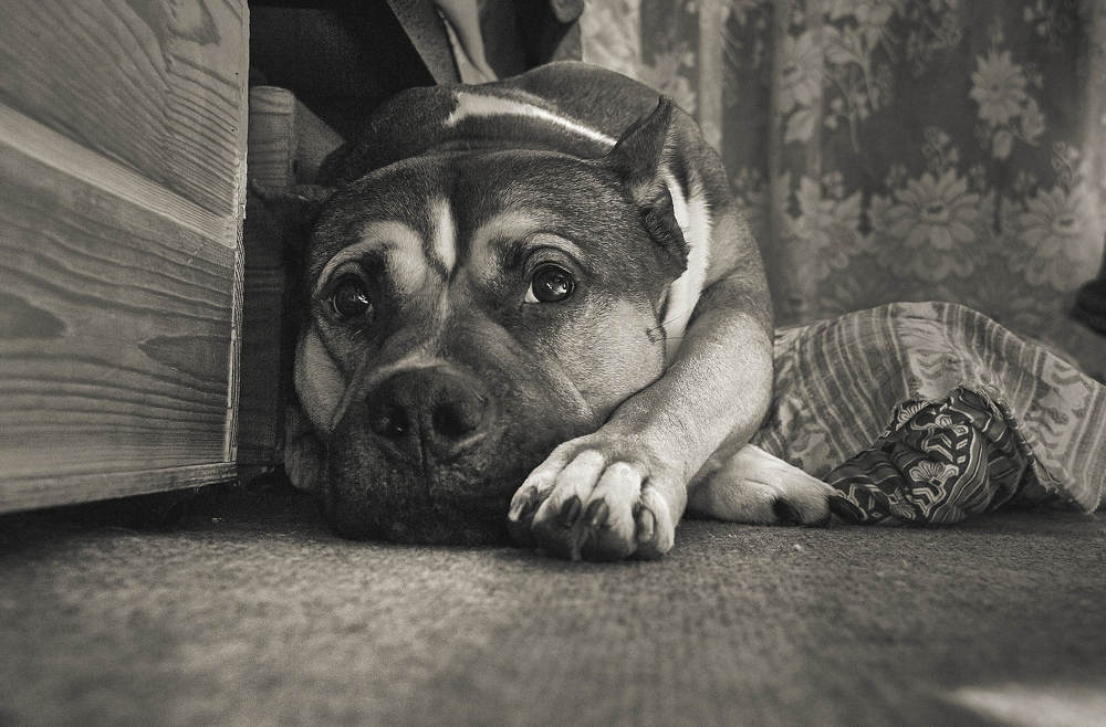 Photograph by Марат Юнусов