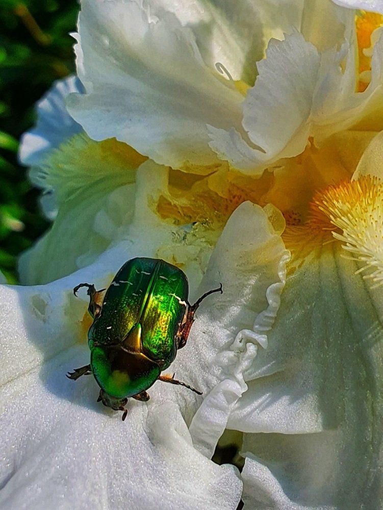 Photograph by Ирина Змитрович