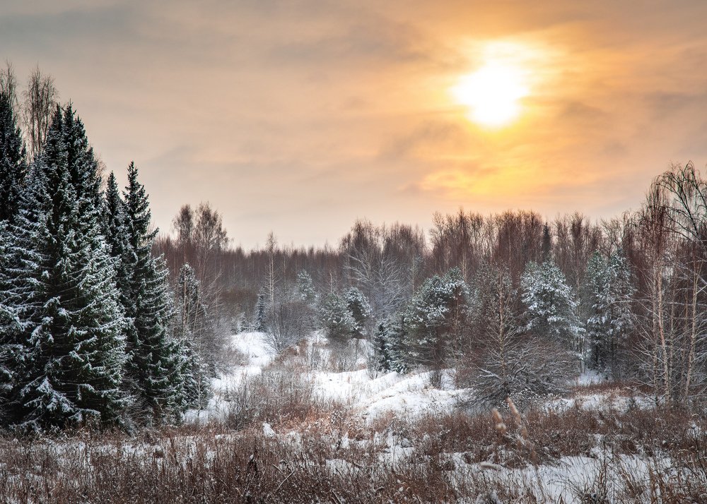 Январский полдень