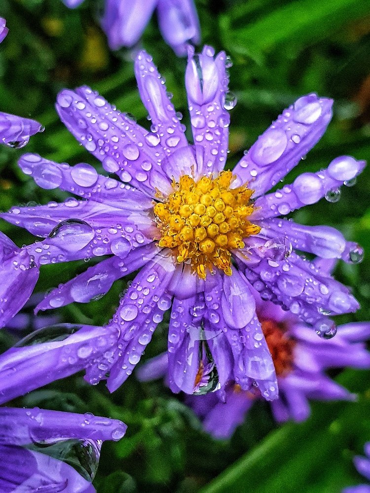 Photograph by Ирина Змитрович