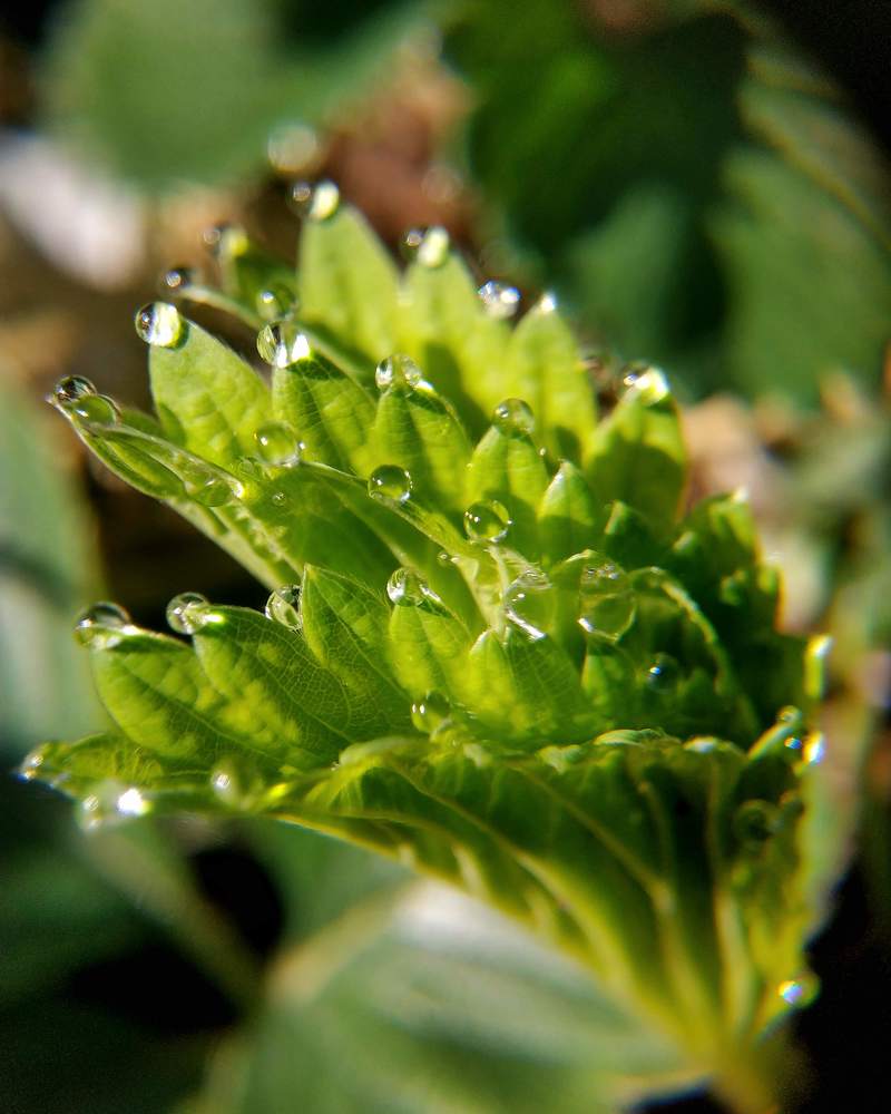 Photograph by Ирина Кузнецова