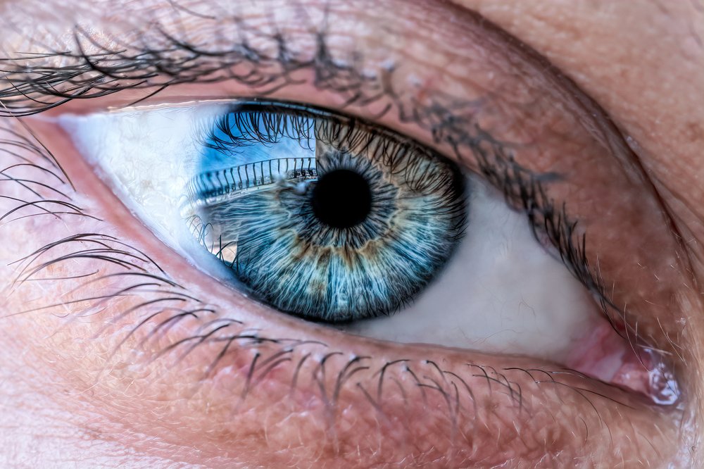 Photograph by Sara Jazbar