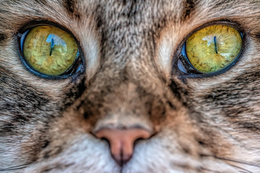 Photograph by Sara Jazbar