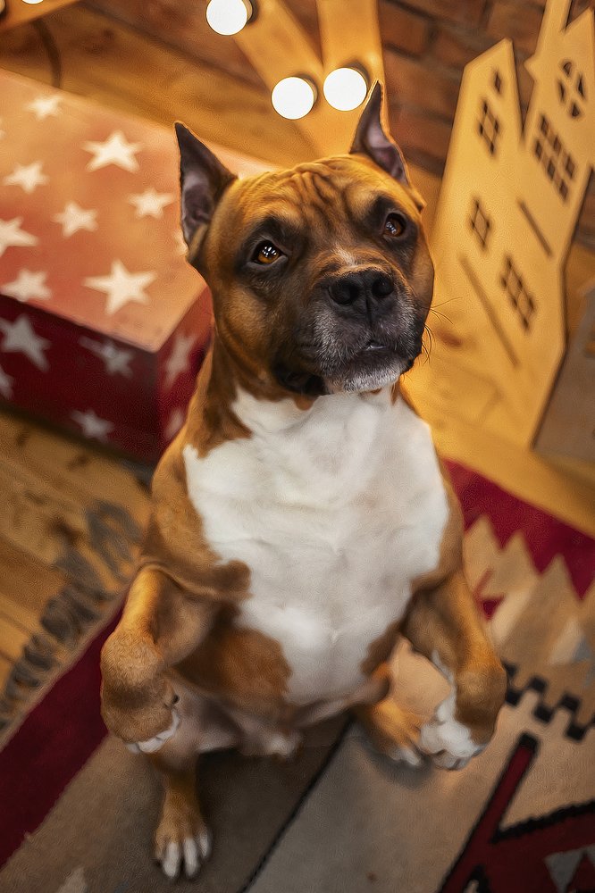 Photograph by Анна Григорьева