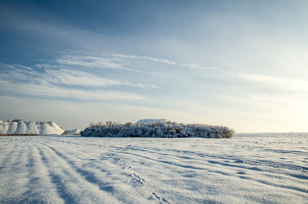 Фотография автора Vladislav Shilo