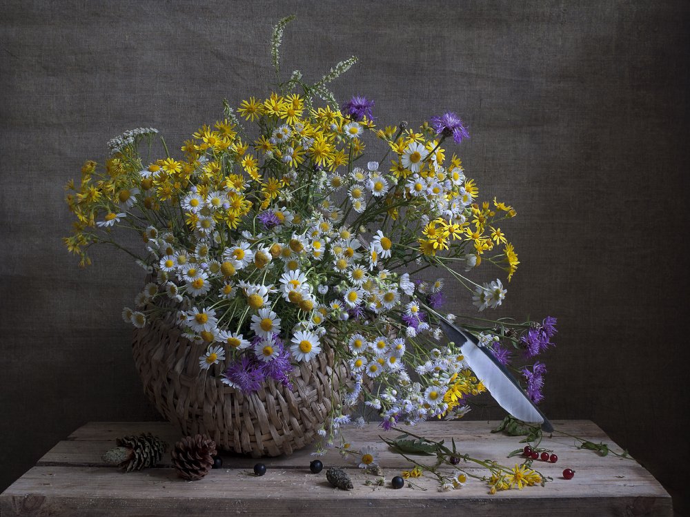 Bouquet from the forest with a feather of an unknown bird.
