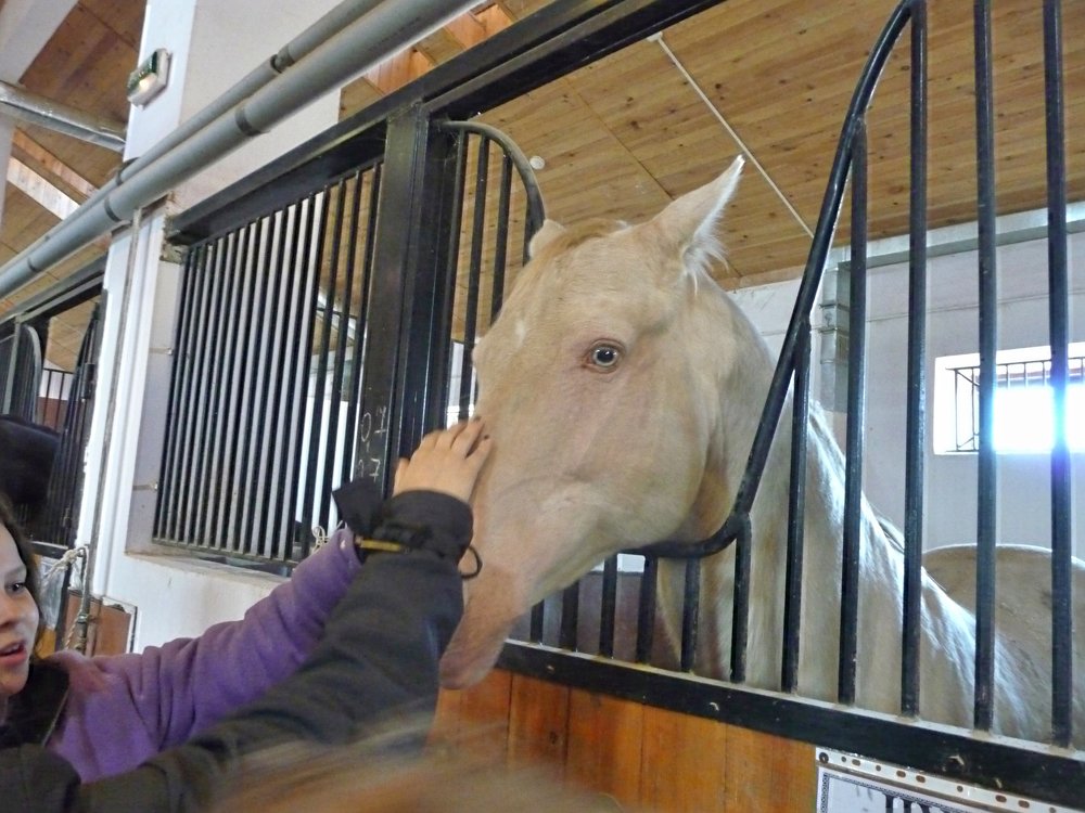 Фотография автора Клавдия Васильева