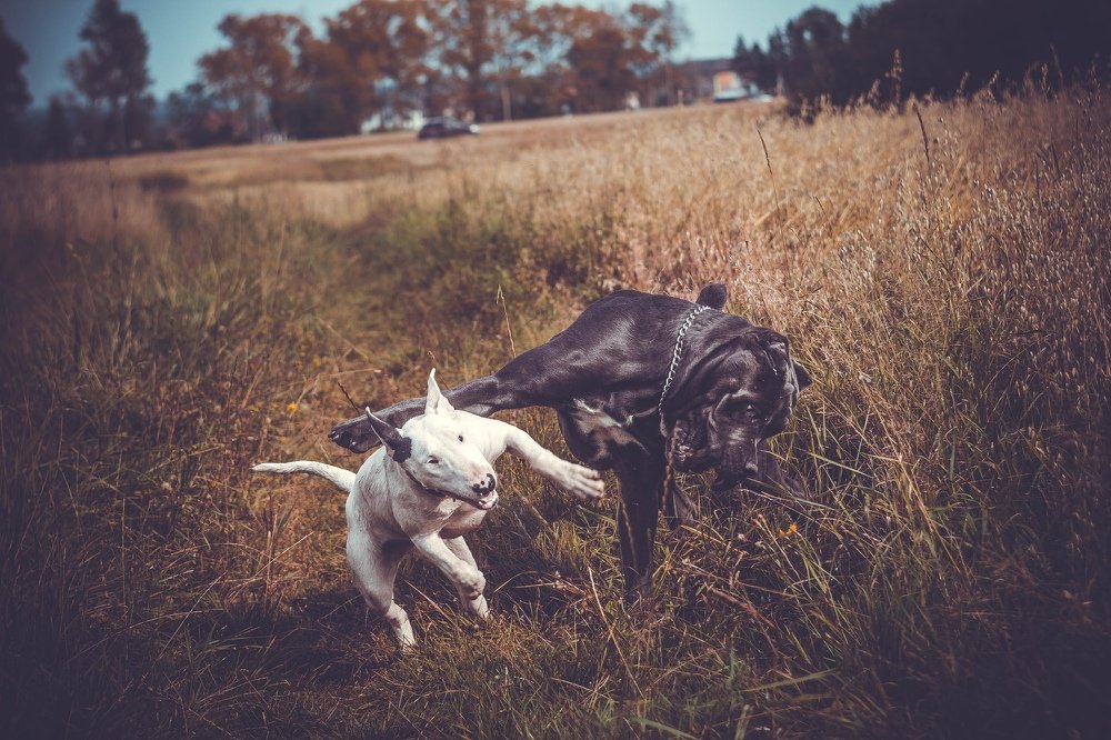 Photograph by Анна Григорьева