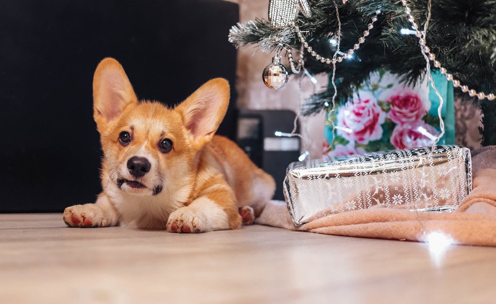 Photograph by Анна Григорьева