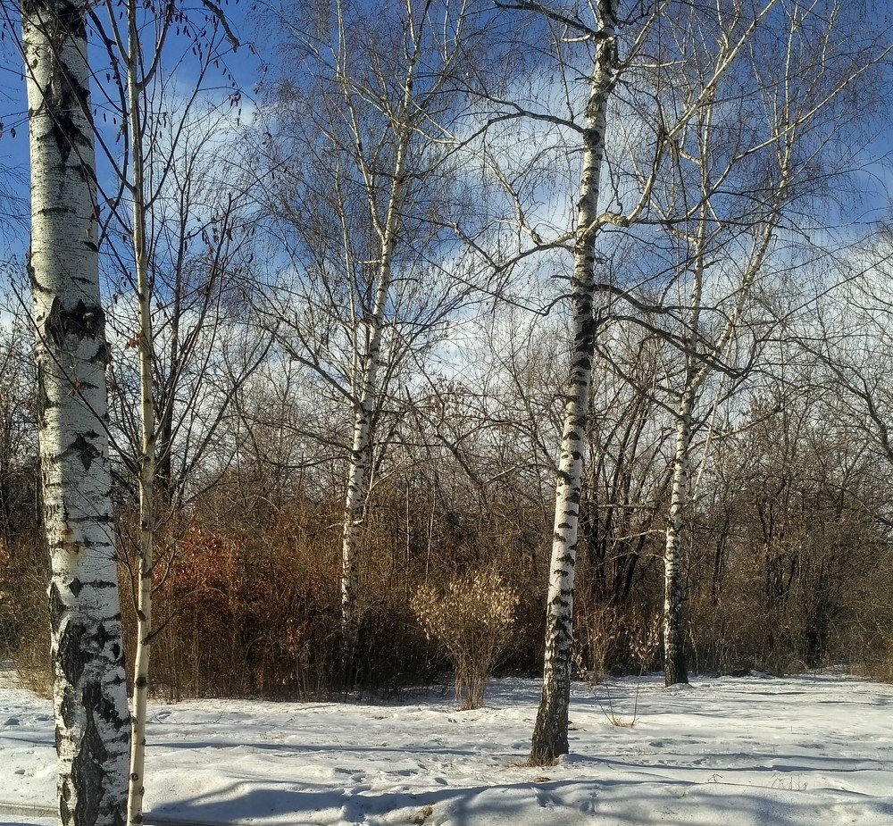 Photograph by Нурия Бикинеева