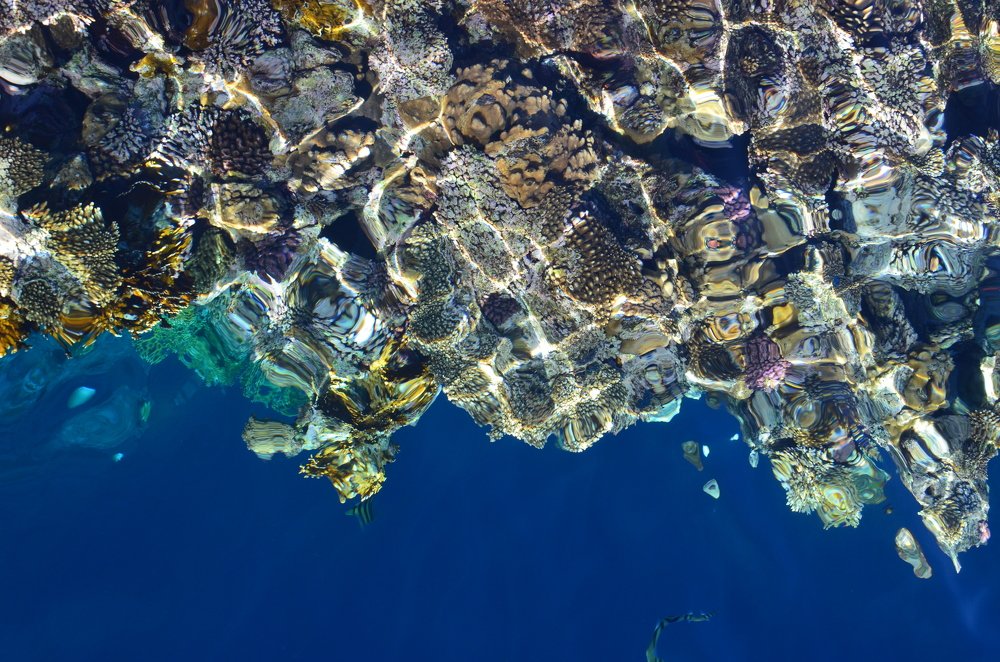 Photograph by Kusakin  Vladimir