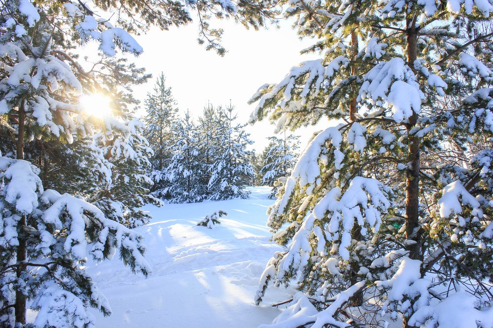 Фотография автора Анастасия Красикова