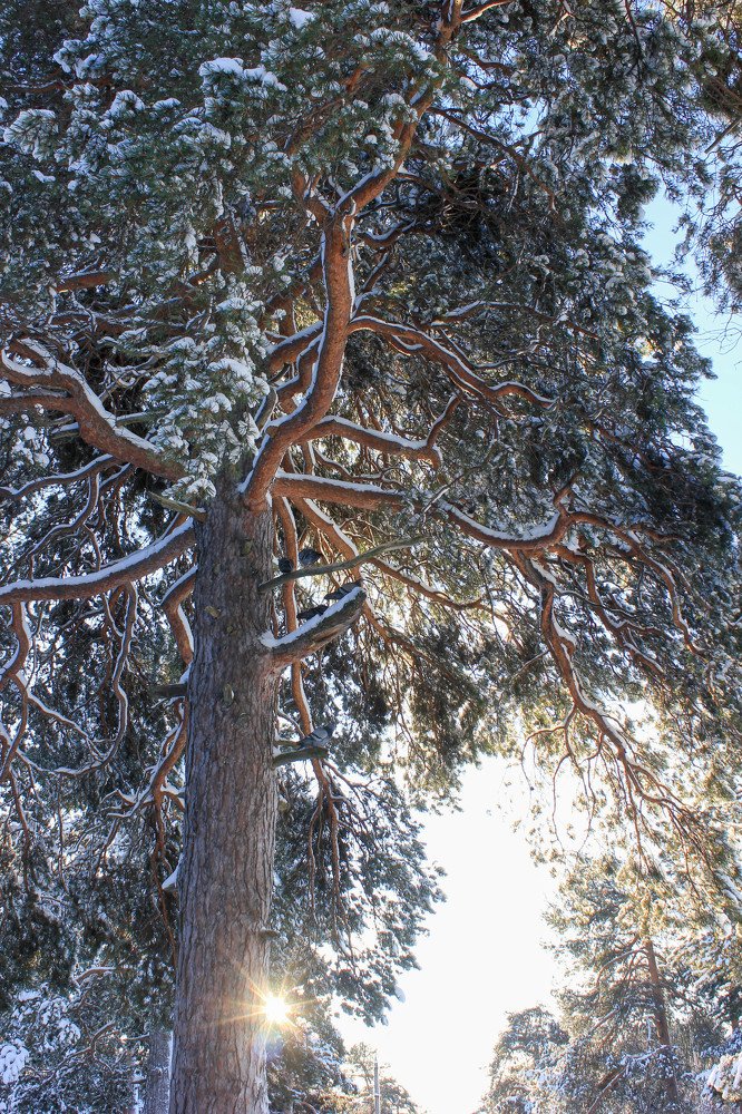 Фотография автора Анастасия Красикова
