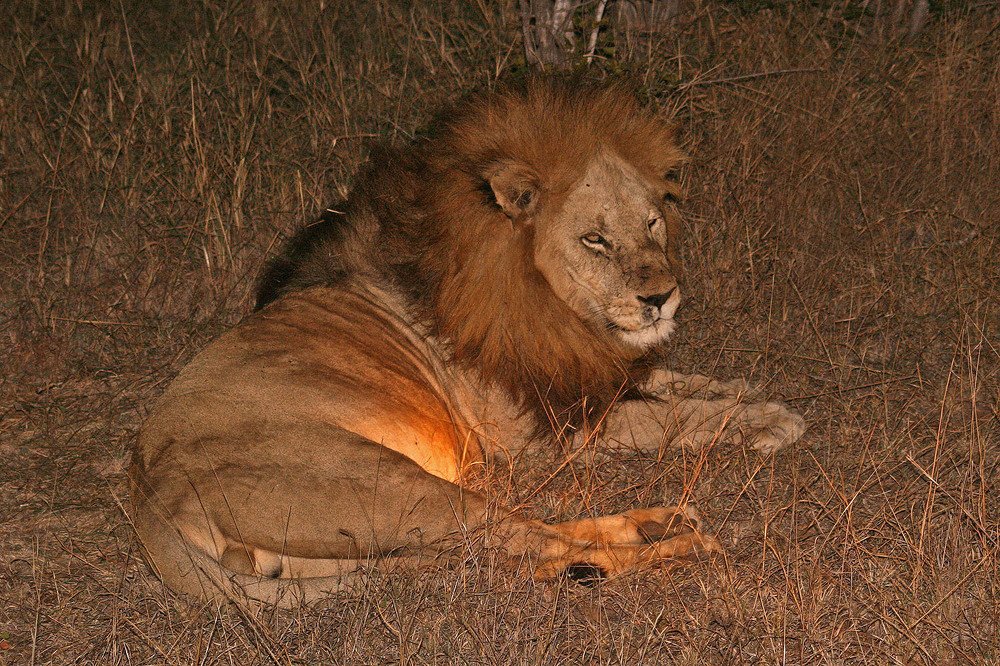 Photograph by Яна Соколова