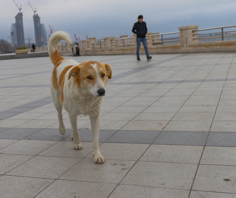 Photograph by Марат Юнусов