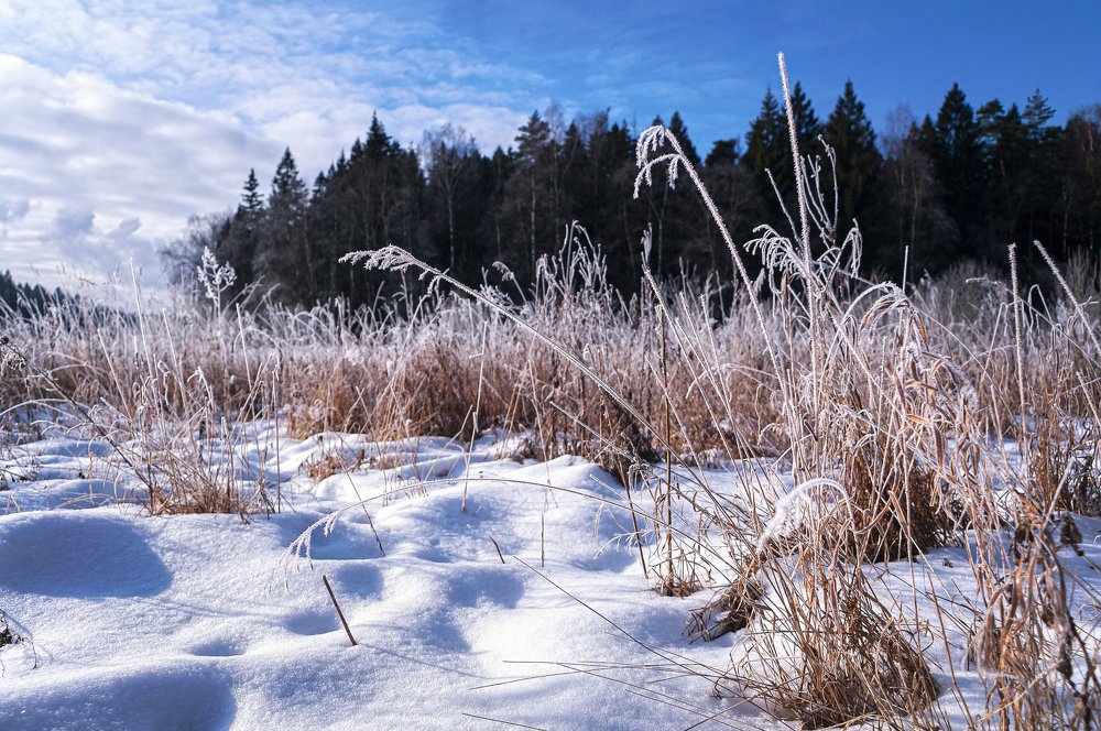 Неклюдов ручей зимой.