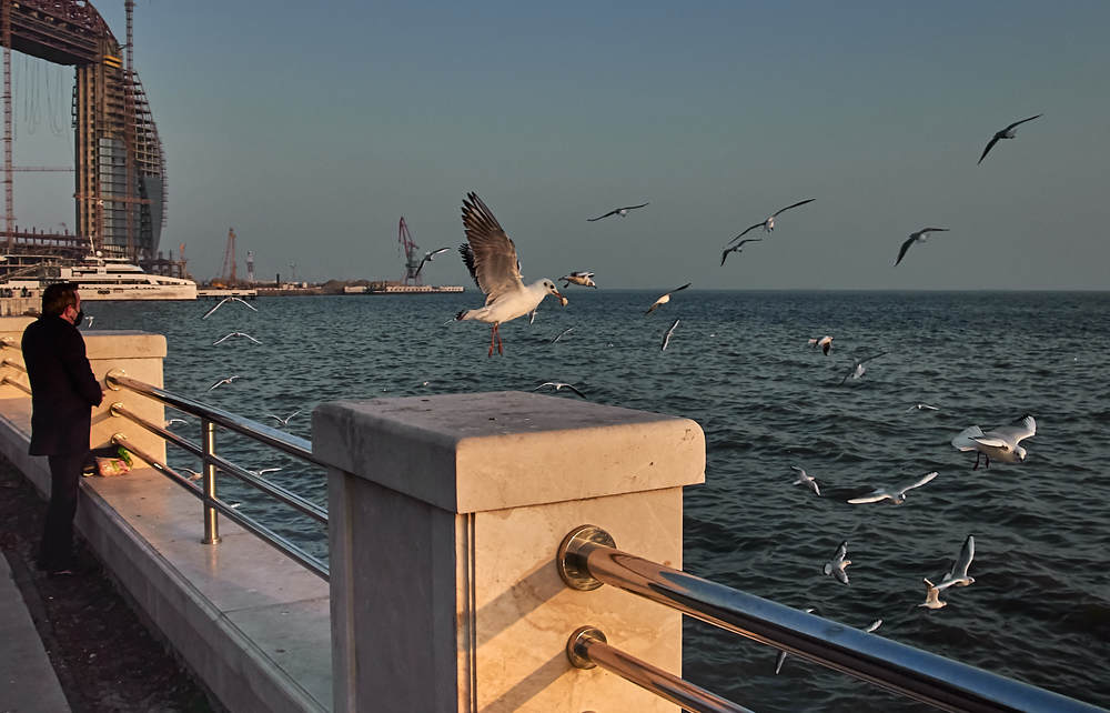 Photograph by Марат Юнусов